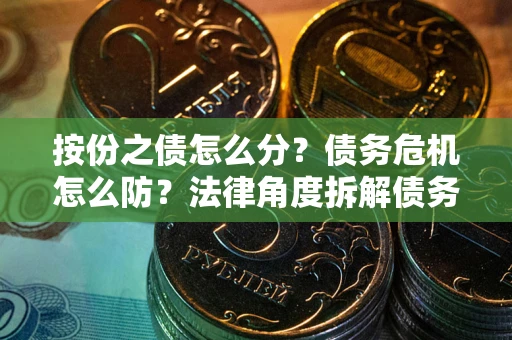 武汉按份之债怎么分？债务危机怎么防？法律角度拆解债务分配与风险自保指南
