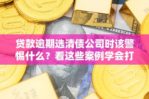 武汉贷款逾期选清债公司时该警惕什么？看这些案例学会打翻身仗