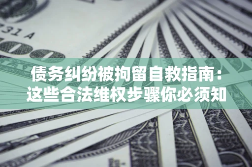 武汉债务纠纷被拘留自救指南：这些合法维权步骤你必须知道！