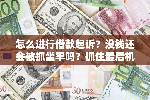 武汉怎么进行借款起诉？没钱还会被抓坐牢吗？抓住最后机会！