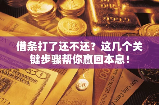 武汉借条打了还不还？这几个关键步骤帮你赢回本息！