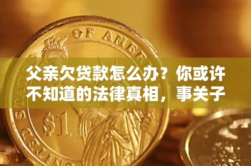武汉父亲欠贷款怎么办？你或许不知道的法律真相，事关子女未来