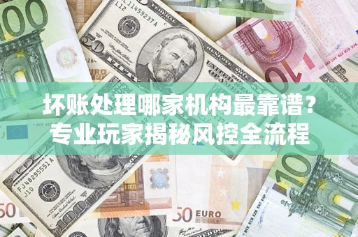 武汉坏账处理哪家机构最靠谱？专业玩家揭秘风控全流程