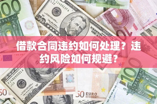 武汉借款合同违约如何处理？违约风险如何规避？