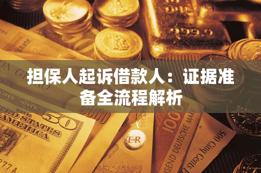 武汉担保人起诉借款人：证据准备全流程解析