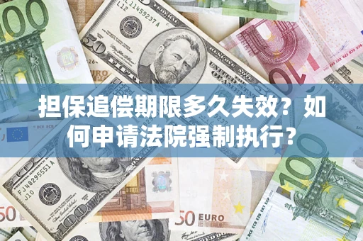 武汉担保追偿期限多久失效？如何申请法院强制执行？
