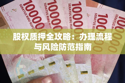 武汉股权质押全攻略：办理流程与风险防范指南